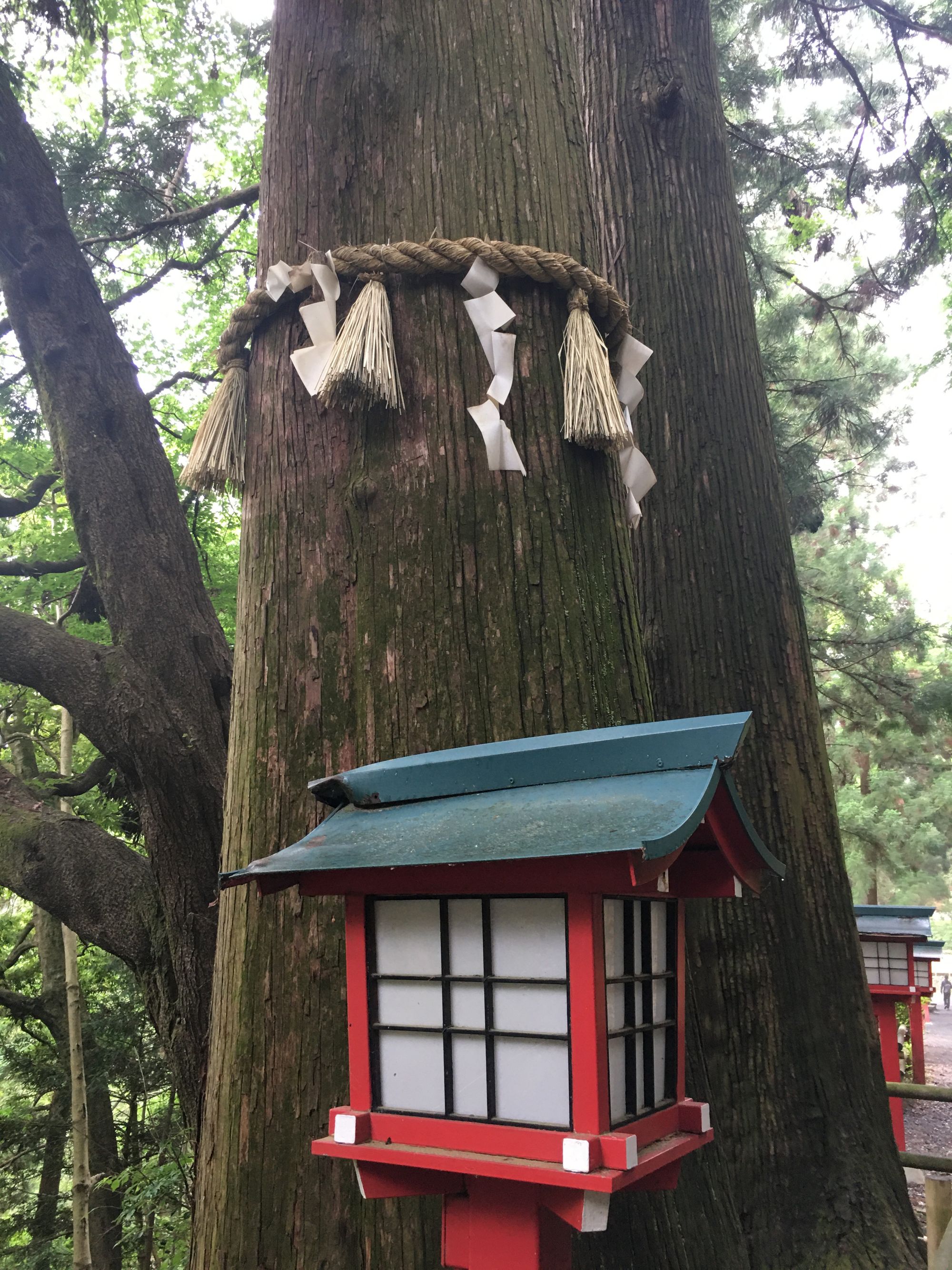 How to become the luckiest person in the world. Japanese Temples and Shrines 101